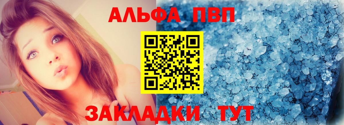 Альфа ПВП СК Гудермес