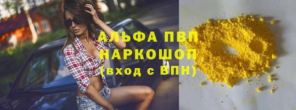 стаф Бородино