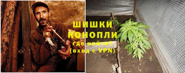 амф Богородицк