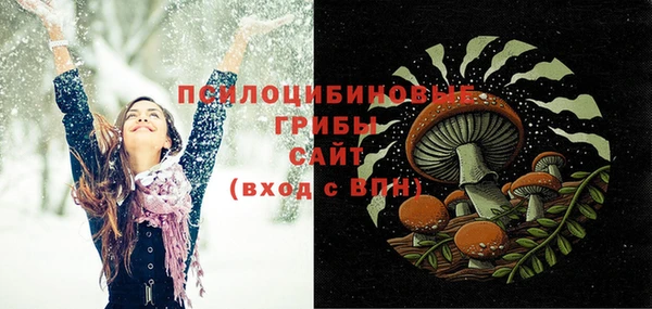 дурь Бронницы