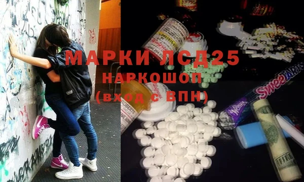 стаф Бородино