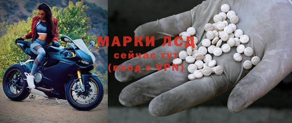 стаф Бородино