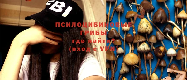 mdma Богданович