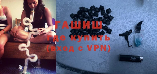 стаф Бородино