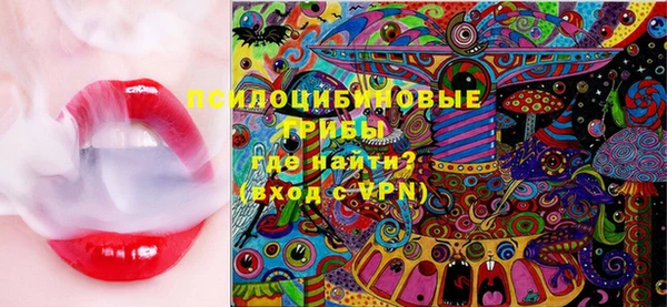 стаф Бородино