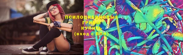дурь Бронницы