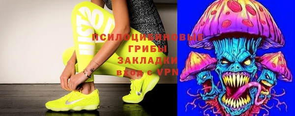 дурь Бронницы