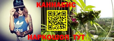 твердый Лесосибирск